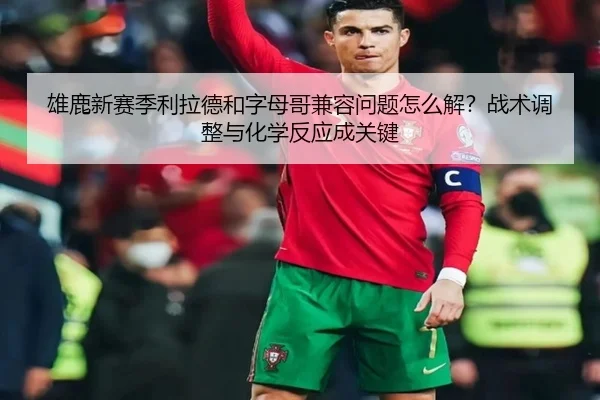 雄鹿新赛季利拉德和字母哥兼容问题怎么解？战术调整与化学反应成关键